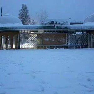 "الداخلية" تدعو للالتزام بالمنازل من السادسة مساء اليوم بسبب الانجماد