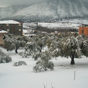 ما هي أبرد مناطق فلسطين وأكثرها حرارة ؟ 