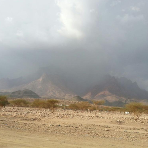 الخميس .. اضطراب جوي متوقع على جبال الحجاز وغرب المنطقة الوسطى