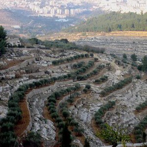 الأحد : أجواء أقرب للخريفية في مُعظم أنحاء فلسطين