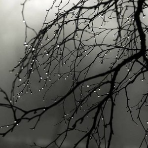 العاصفة هدى تدخل المملكة الثلاثاء والأمانة تعلن حالة الطوارئ 