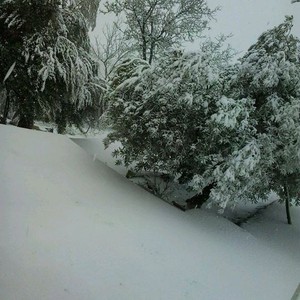 تعليق الدراسة في جامعتي الاسراء ومؤتة يومي السبت والاحد المقبلين