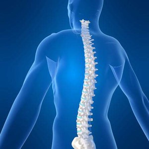 لماذا تنكمش أجسامنا نهاراً وتعود لحجمها الطبيعي ليلاً ؟