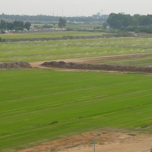 مطالبات بتعطيل العمل في منطقة الأغوار بالكرك