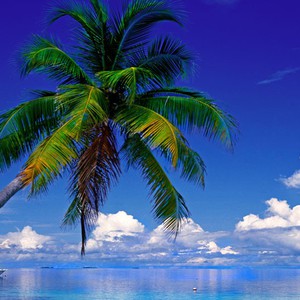 أين يمكنك السفر خلال شهر يناير 2016؟