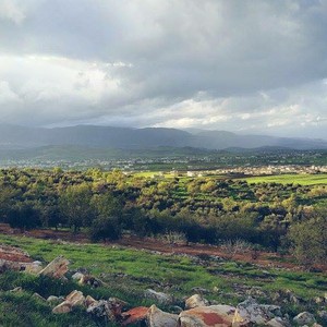 استمرار درجات الحرارة حول مُعدلاتها السنوية حتى الخميس واحتمال إنخفاضها بشكل ملموس نهاية الأسبوع