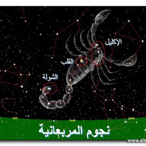 دخول نجم القلب وبدء المربعانية