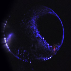 شفق قطبي أزرق يظهر في سماء المريخ  