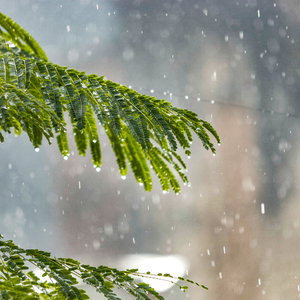 المغرب | امتداد منخفض جوي يترافق برياح شديدة وأمطار يؤثر على المملكة غداً الجمعة