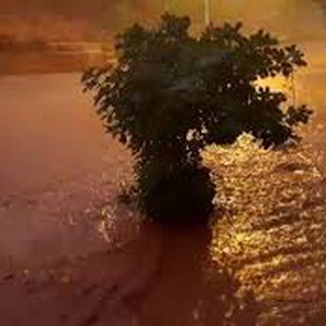 سلطنة عُمان | الدفاع المدني يُعلن إنقاذ شخص إثر دخول المياه لمنزله في ولاية نخل