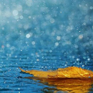 أمطار ورعود على بلدان المغرب العربي .. إليك التوقعات الجوية للأيام المقبلة