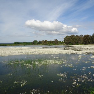 What is the best time to visit Algeria?