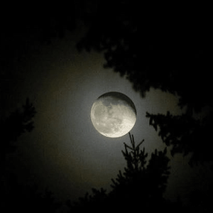 البرودة الليلة اللافتة ستعود مجدداً ..