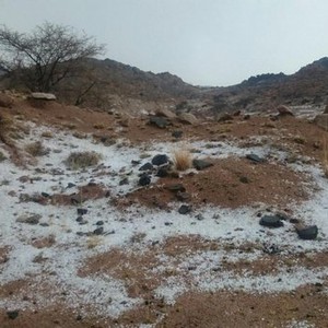 بالصور: بردية قوية جنوب الطائف تحول الأرض الى اللون الأبيض 