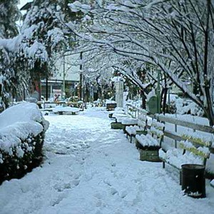 منخفض جوي من أصل قطبي يؤثر على سوريا اعتباراً من الجمعة