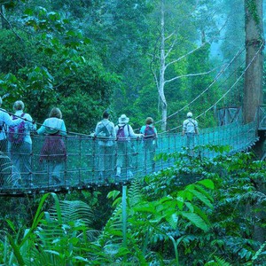 The best months to visit Borneo Island .. Malaysia and Indonesia