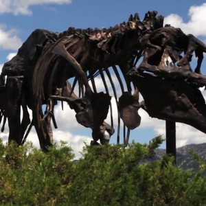 5 اشياء تتميز بها بوزمان في ولاية مونتانا الأمريكية