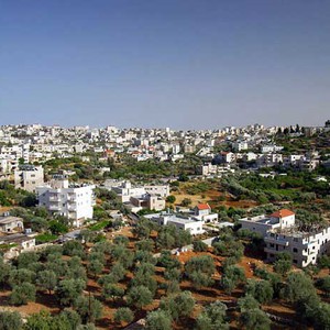 مسلسل التقلبات الجوية والفروقات الحرارية مستمر !