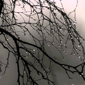 النشرة الجوية الشهرية لتشرين الثاني.. شهر أبرد من المُعتاد و حالات مطرية مُتعددة و فرصة لمنخفض جوي شتوي حول مُنتصفه