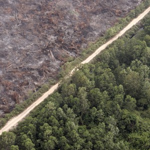 اندونيسيا تؤكد سعيها لخفض انبعاثات الكربون