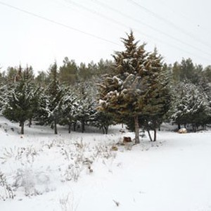 ما هي توقعات الأمطار والثلوج في المناطق الوسطى والشمالية الغربية ؟