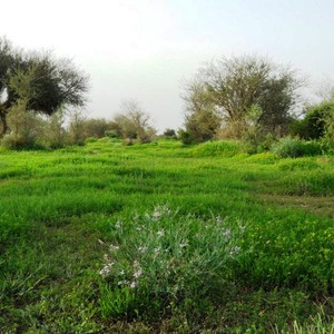 ارتفاع طفيف على درجات الحرارة يوم الأربعاء