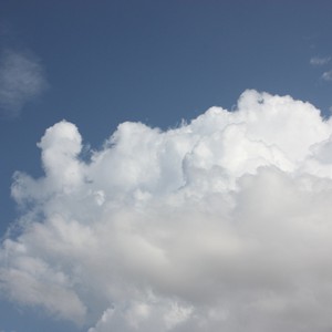 تعرّف على مناطق الاستقرار الزراعي في سوريا