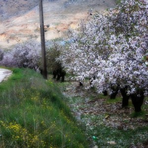 الرياح الشرقية تؤثر على البلاد حتى ساعات بعد ظهر الجمعة