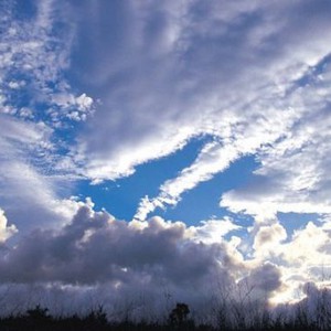 أجواء يوم الجمعة لطيفة وربيعية بامتياز 