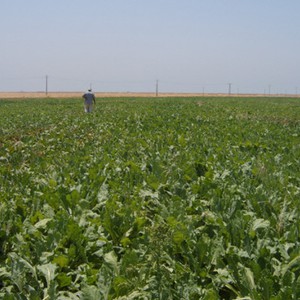 أجواء غائمة مع زخات أمطار على الساحل الخميس قد تمتد صباح الجمعة الى أجزاء من جنوب غرب البلاد