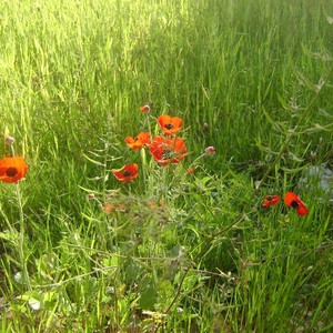 استمرار الأجواء المُعتدلة يوم السبت