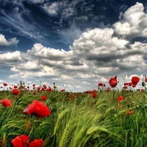 أجواء يوم الجمعة مُعتدلة الى صيفية عادية في أغلب المناطق