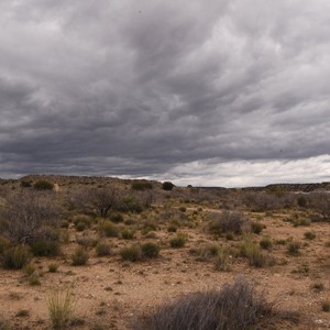 فلسطين : تراجع طفيف على الأجواء الحارة يوم السبت وزخات رعدية محتملة جنوب البلاد