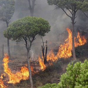 حرارة آب اللهاب تعود مجدداً الأسبوع القادم
