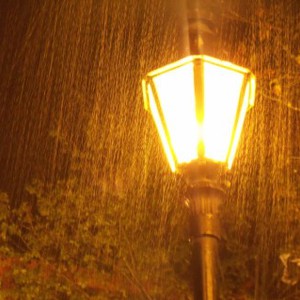 أجواء يوم السبت أقرب للخريفية والتغيرات طفيفة ليوم الأحد