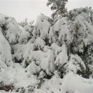 الثلوج تزور أجزاءاً عديدة من البلاد لبضعة ساعات غداً ، ما هو احتمال ذلك وما هي احتمالات التراكم ؟ 