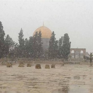 تعرّف على كميات الأمطار في فلسطين خلال الحالة الجوية الماضية ! 