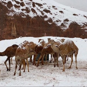 10 حقائق هامة يجب ان تعرفها عن مربعانية الشتاء في السعودية