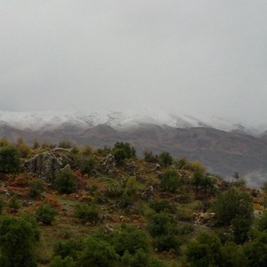 قمم جبل الشيخ تتكلل بالثلوج للمرة الأولى هذا الموسم