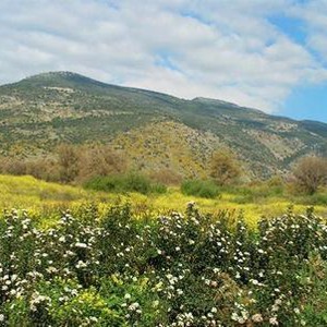 استمرار درجات الحرارة المُعتدلة حتى نهاية الأسبوع ..