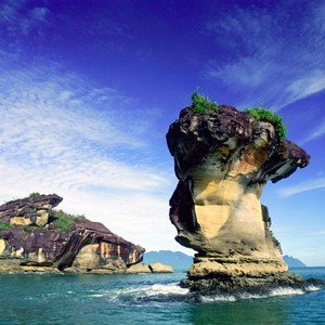 حديقة باكو في ماليزيا فرصة لاكتشاف قردة الململة النادرة