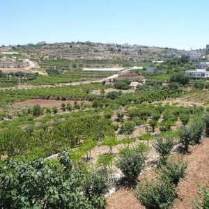 درجات حرارة حول مُعدلاتها السنوية يوم الأربعاء