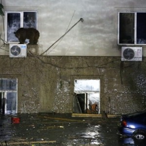 فيضانات جورجيا تقتل 8 أشخاص وتدمر حديقة حيوان