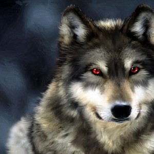 قرار بمنع قتل الذئاب في ولاية ايداهو الامريكية