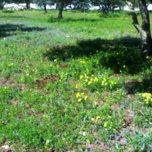 أجواء ربيعية بامتياز خلال عطلة نهاية الأسبوع ..