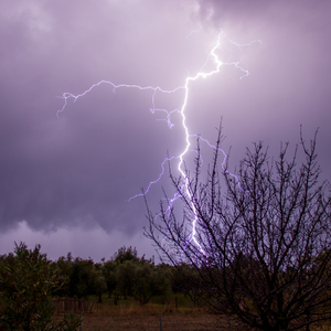 Jordan | Chances of rain tonight and a drop in temperature tomorrow with renewed thunderstorms