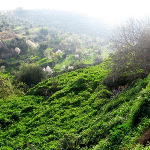 الثلاثاء بداية التغير على الأجواء ..