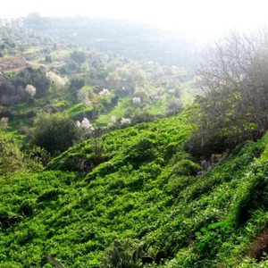 درجات الحرارة دون مُعدلاتها السنوية خلال اليومين القادمين ..