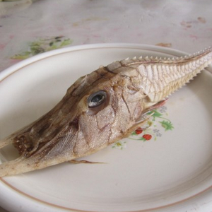 سمكة ذات شكل غريب تفُاجئ صياد ماليزي !