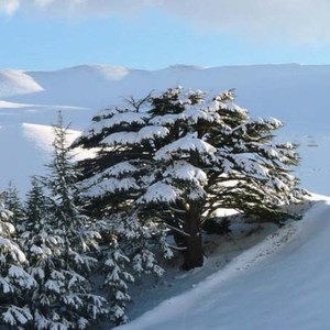 أجواء لبنان يوم الثلاثاء باردة نهاراً قارسة البرودة ليلاً !